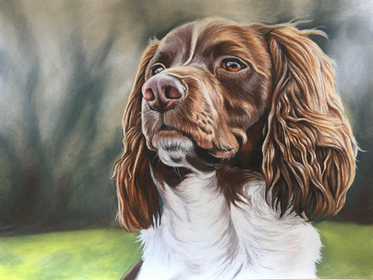 English Springer Spaniel Dog | Diamond Painting