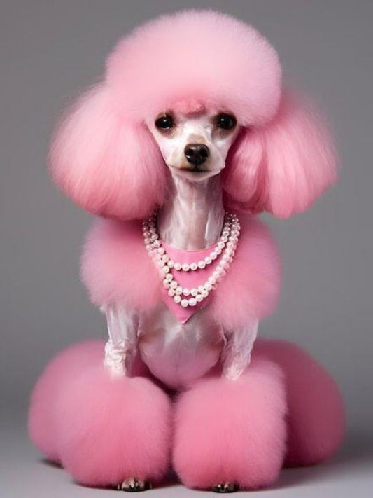 Poodle Dog | Diamond Painting