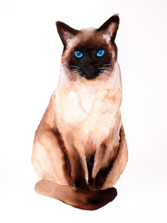 Siamese Cat | Diamond Painting