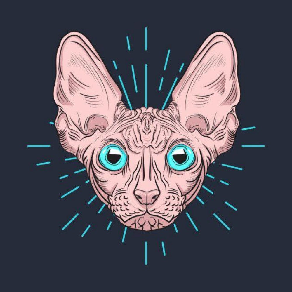 Sphynx Cat  | Diamond Painting