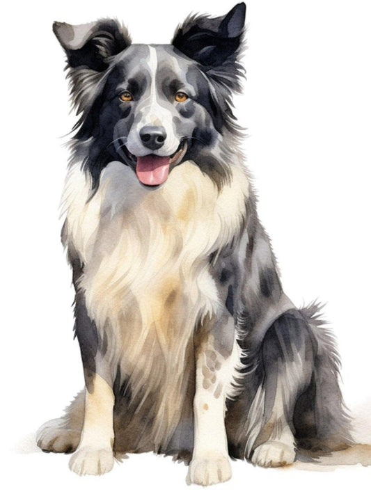 Dog Border Collie | Diamond Painting