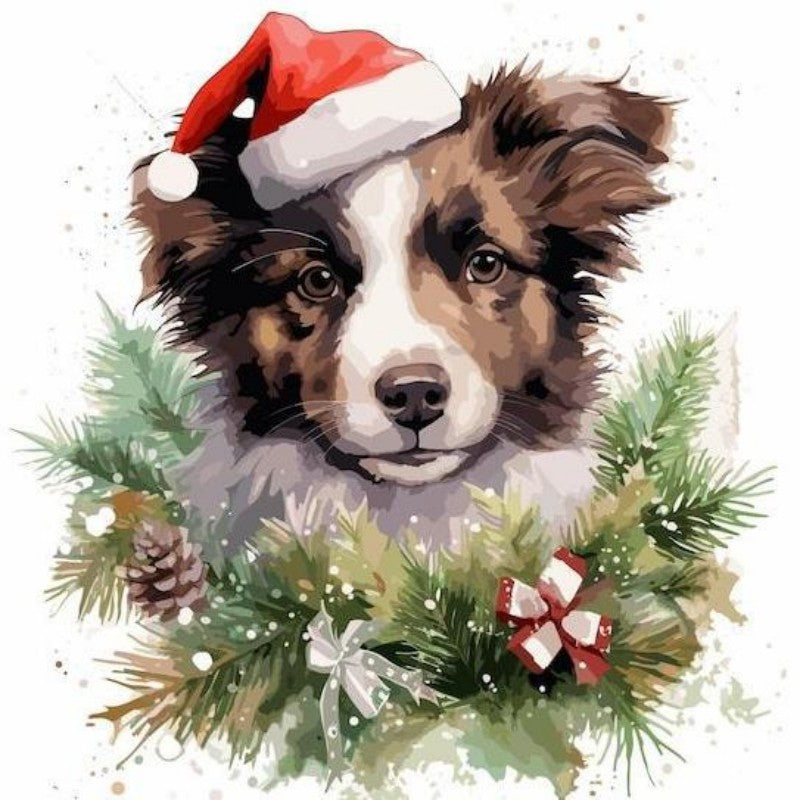 Dog Border Collie | Diamond Painting
