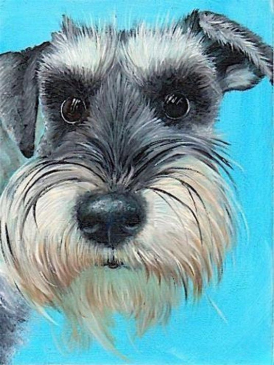 Dog Schnauzer | Diamond Painting
