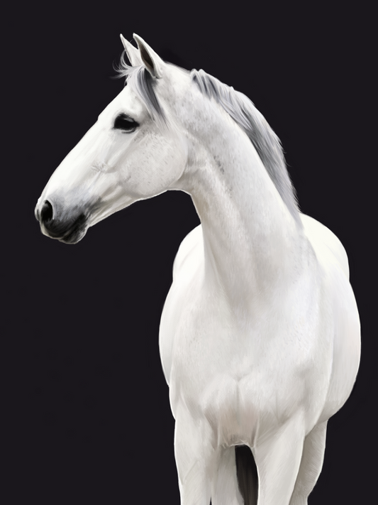Horse | Diamond Painting