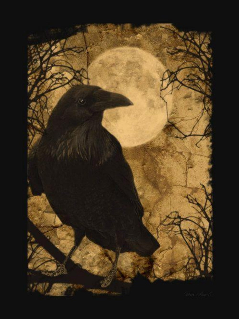 Crow | Diamond Painting