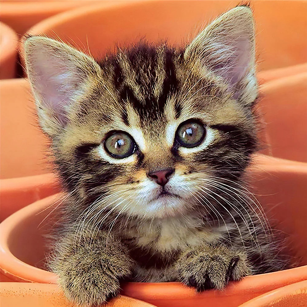 Cat | Cross Stitch Embroidery