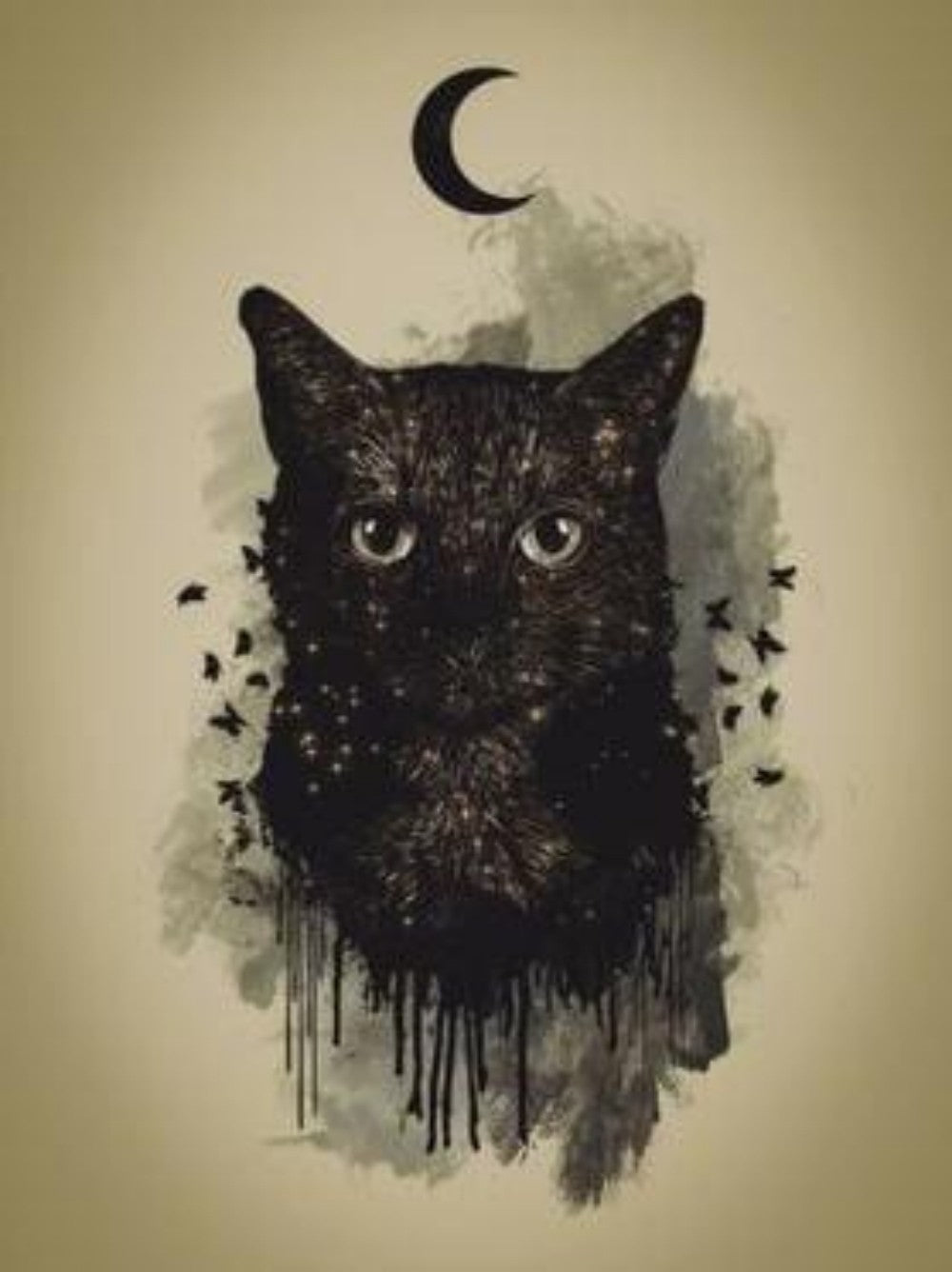 Black Cat | Diamond Painting