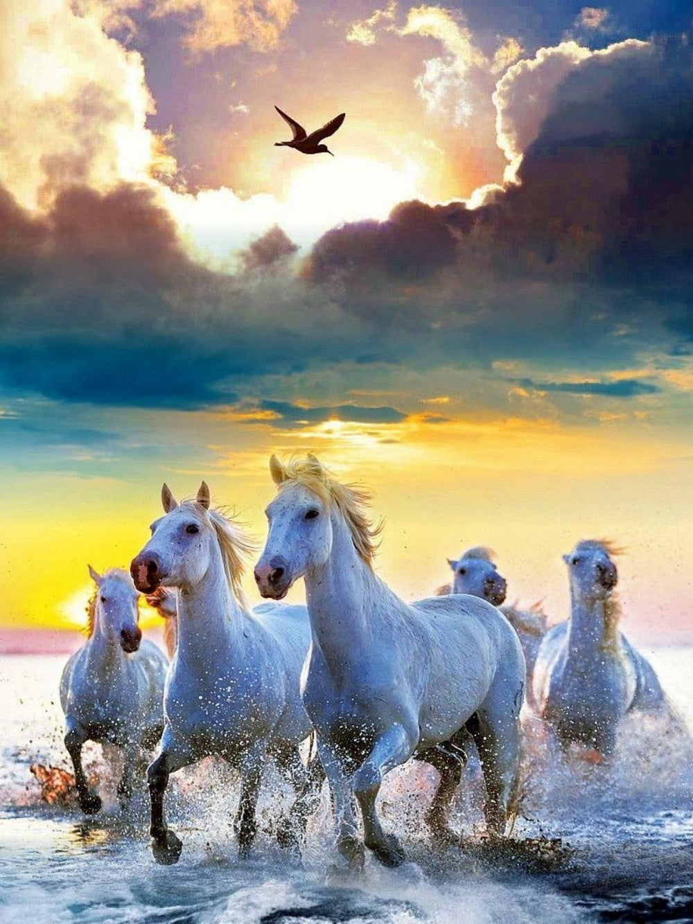 Horse | Diamond Painting
