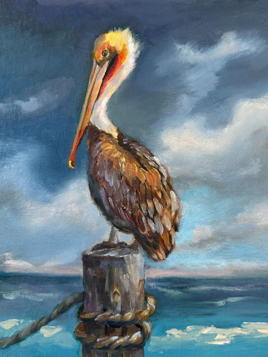 Pelican | Diamond Painting