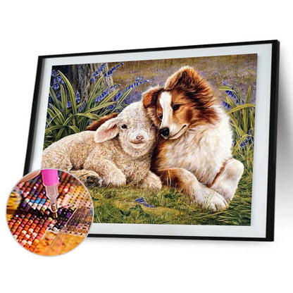 Sheep And Dog Australian Shepherd | Diamond Painting