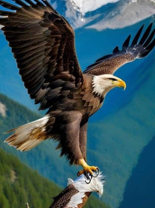 Eagle | Diamond Painting