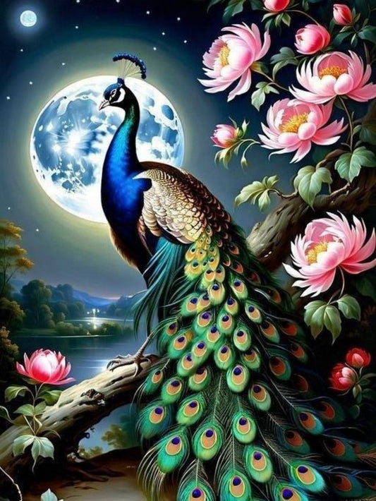 Peacock | Diamond Painting