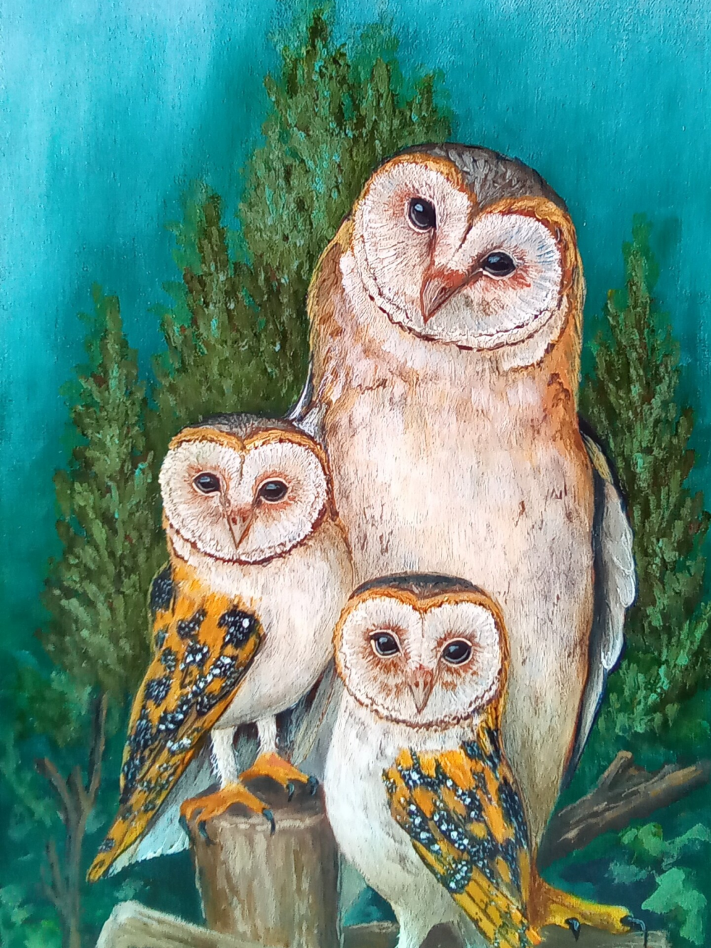 Barn Owl | Diamond Painting