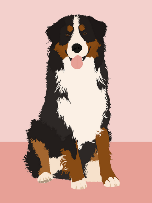 Bernese Mountain Dog | Diamond Painting