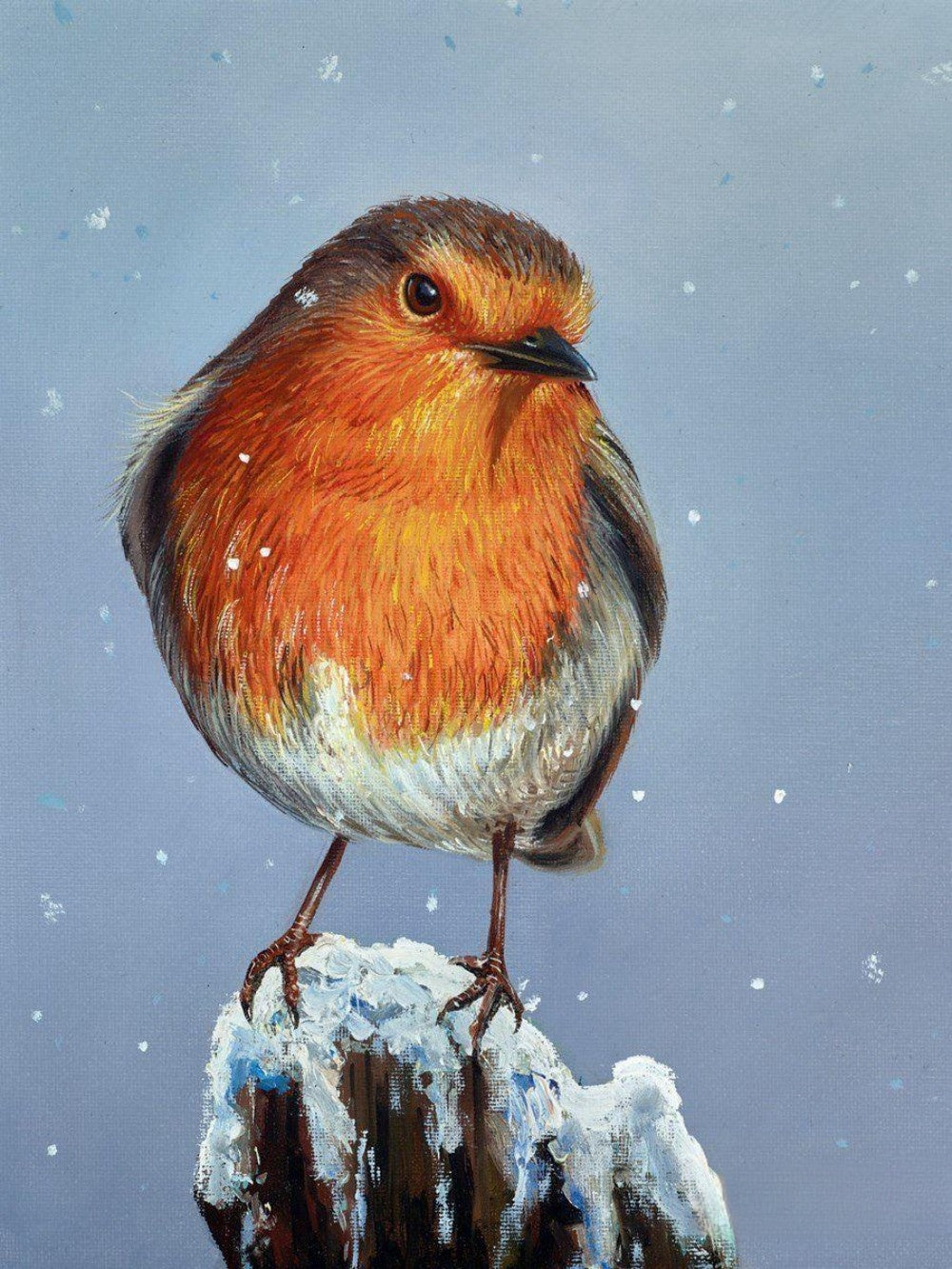 Robin Bird | Diamond Painting