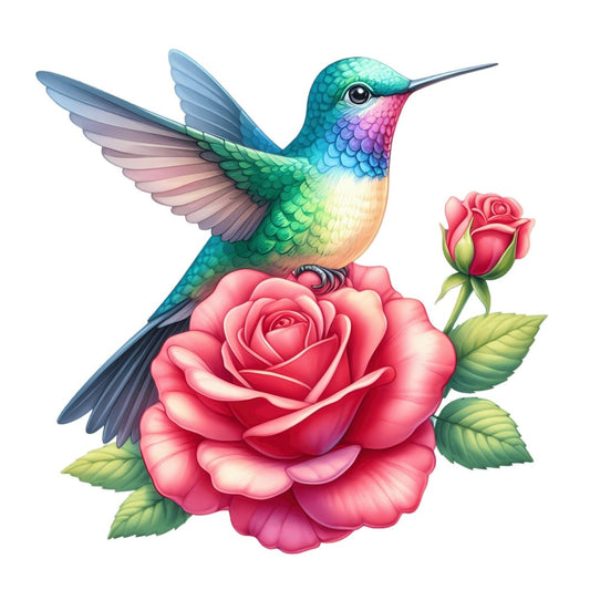 Hummingbird | Diamond Painting