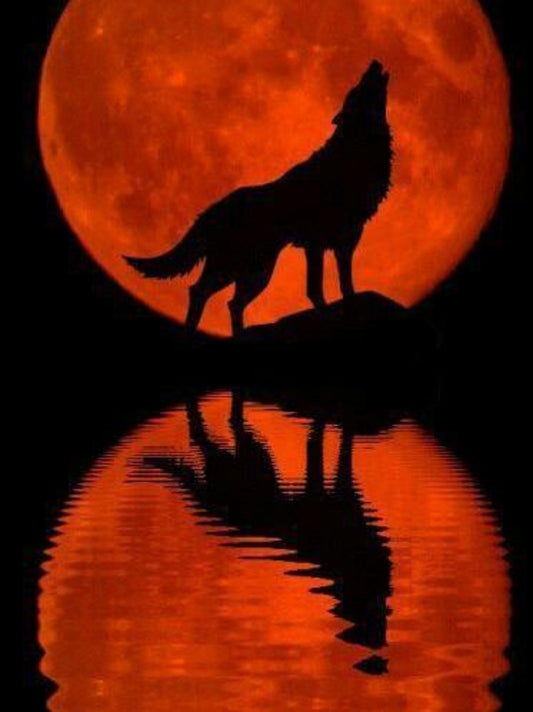 Wolf | Diamond Painting