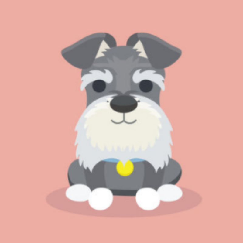 Dog Schnauzer | Diamond Painting