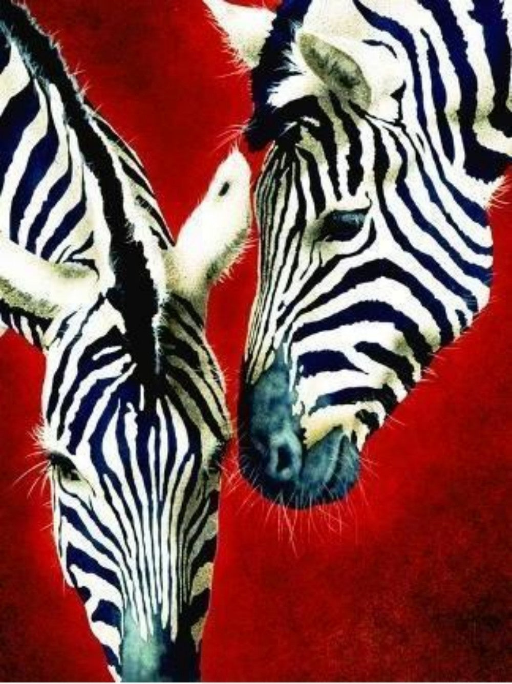 Zebra | Diamond Painting