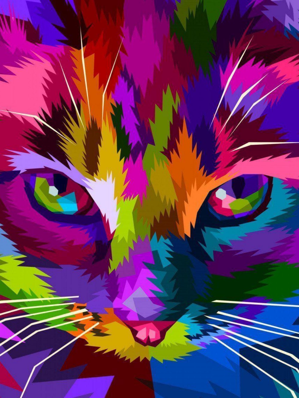 Colorful Cat | Diamond Painting