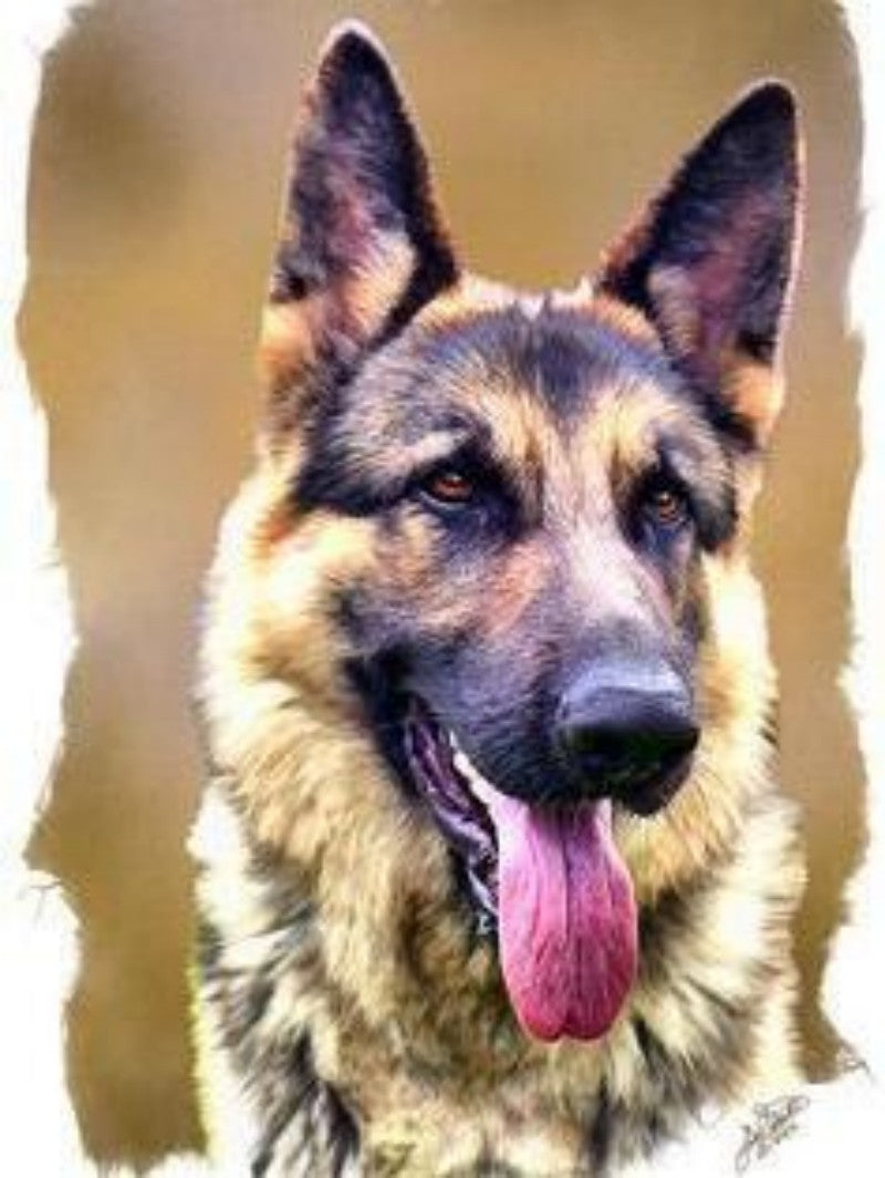 Dog German Shepherd | Diamond Painting