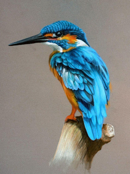 Kingfisher | Diamond Painting
