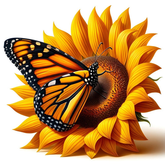 Butterfly | Diamond Painting