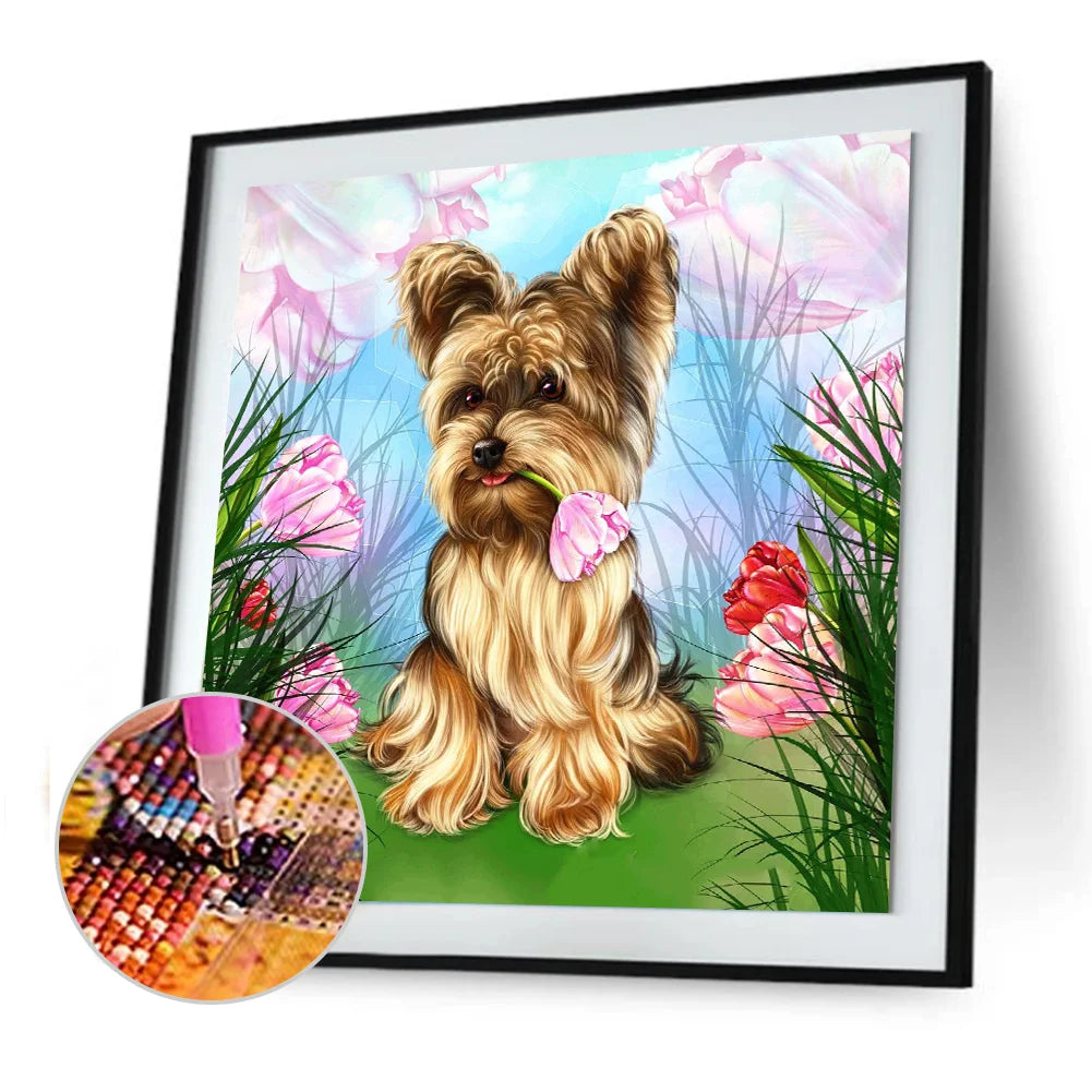 Animal Dog Yorkie | Diamond Painting