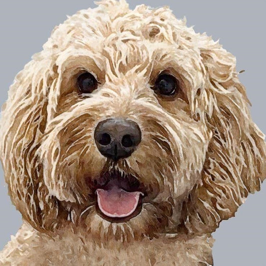 Poodle Dog | Diamond Painting