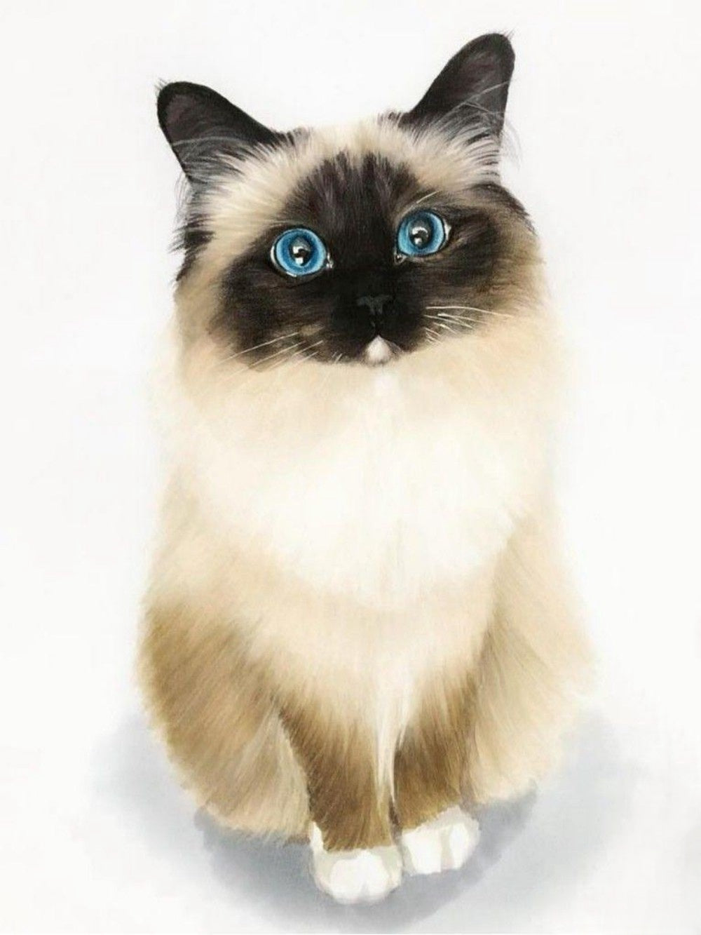 Siamese Cat | Diamond Painting