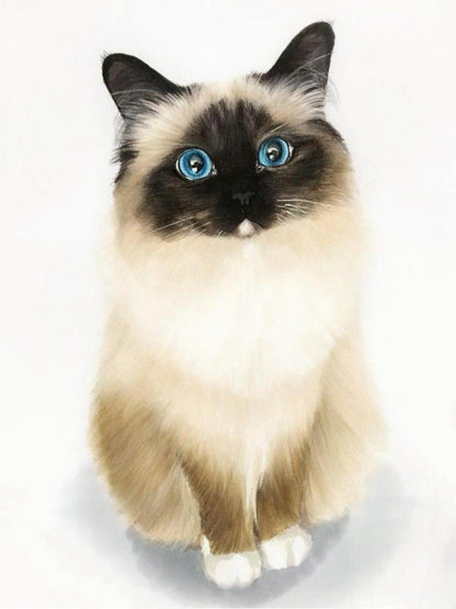 Siamese Cat | Diamond Painting