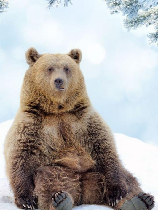 Brown Bear | Diamond Painting