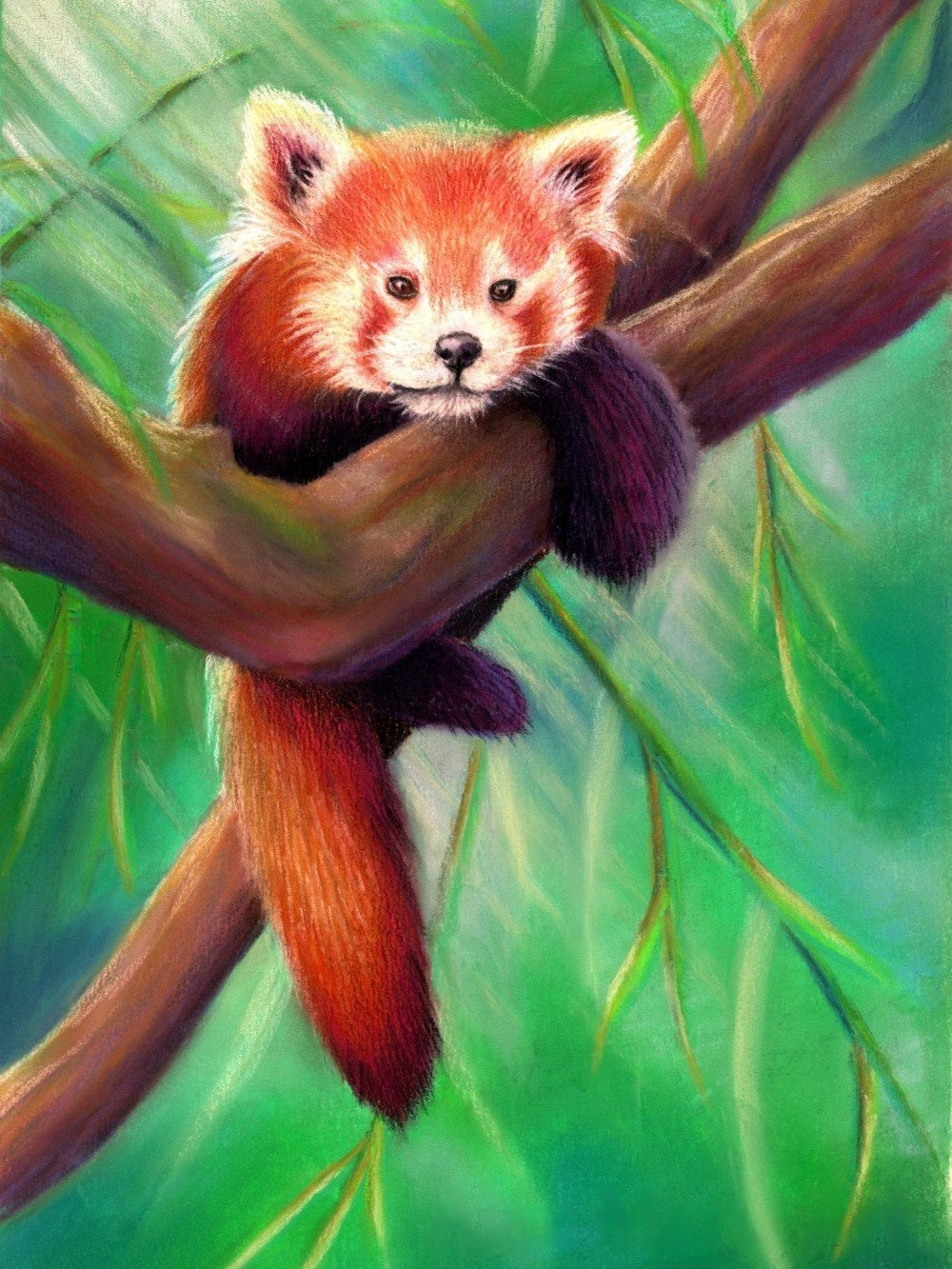 Red Panda | Diamond Painting