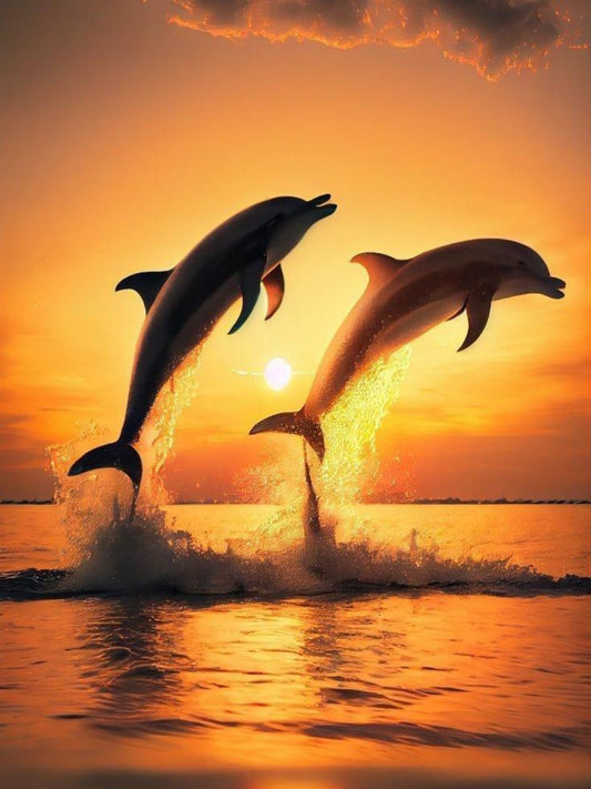 Dolphin | Diamond Painting