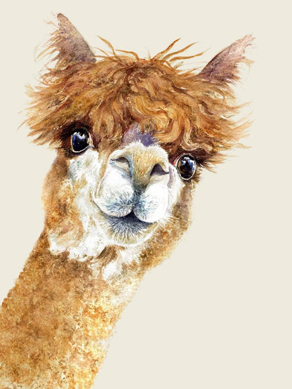 Alpaca | Diamond Painting