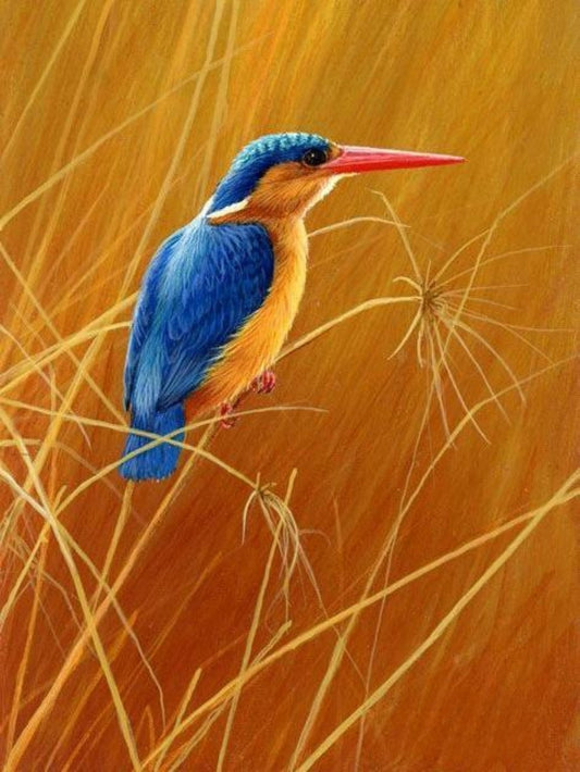 Kingfisher | Diamond Painting