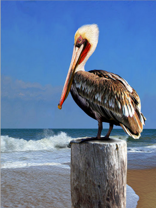 Pelican | Diamond Painting