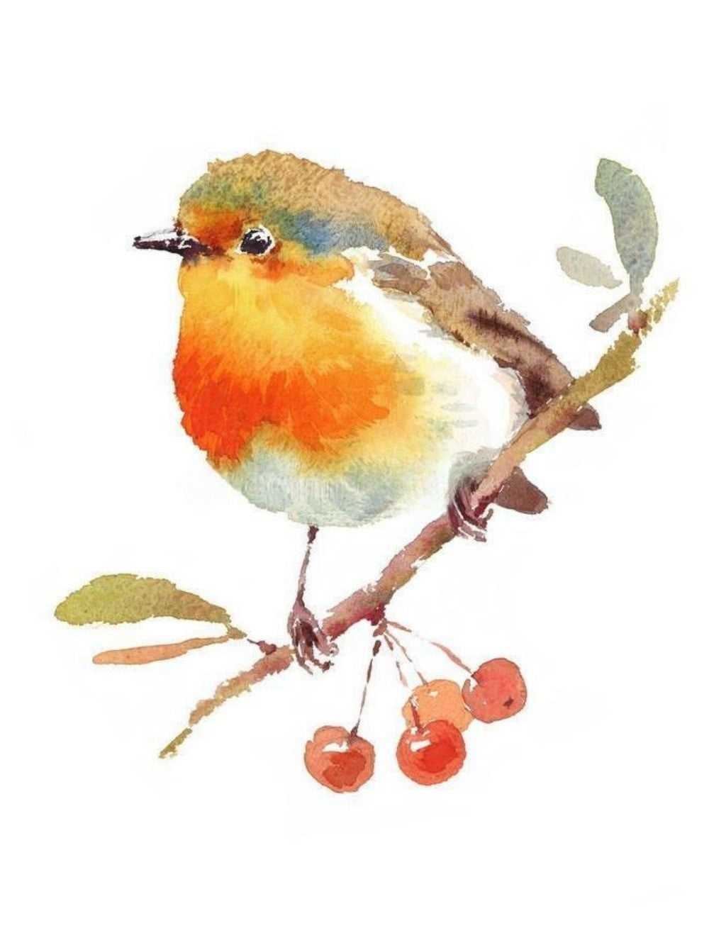 Robin Bird | Diamond Painting