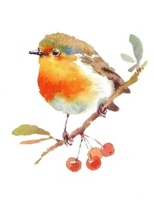 Robin Bird | Diamond Painting