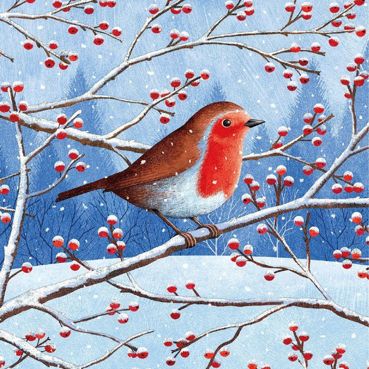 Robin Bird | Diamond Painting