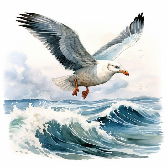 Gull | Diamond Painting
