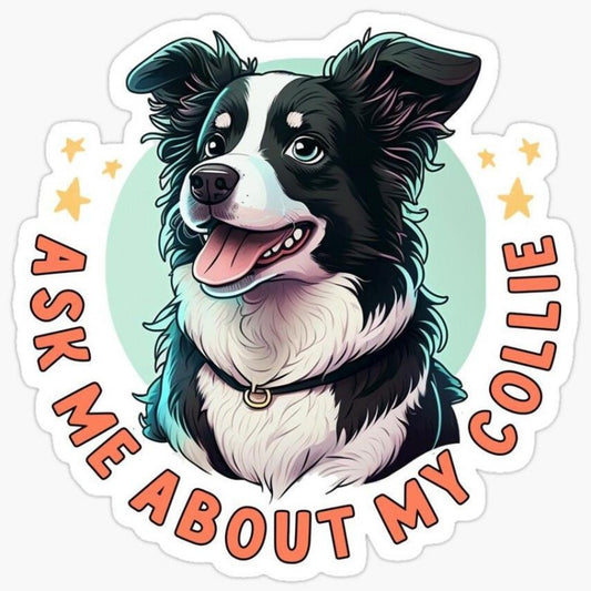 Dog Border Collie | Diamond Painting