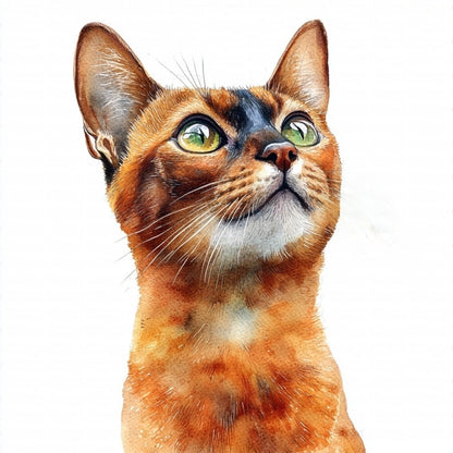 Abyssinian Cat | Diamond Painting