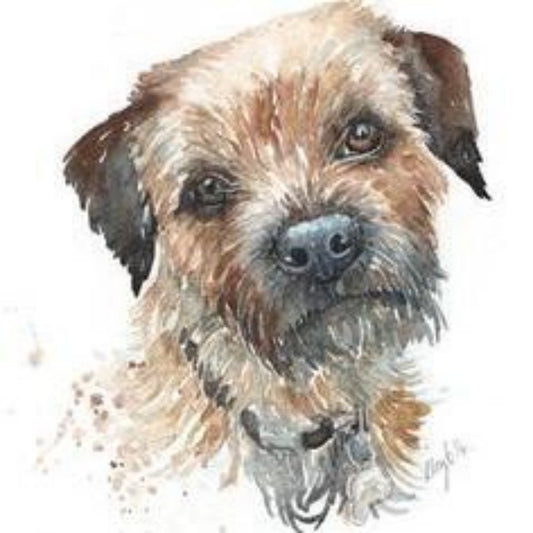 Dog Border Terrier | Diamond Painting