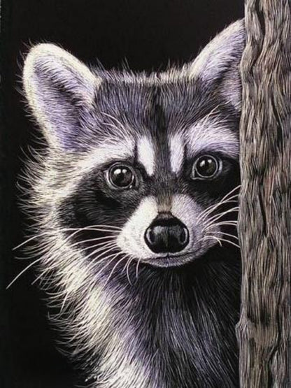 Raccoon | Diamond Painting