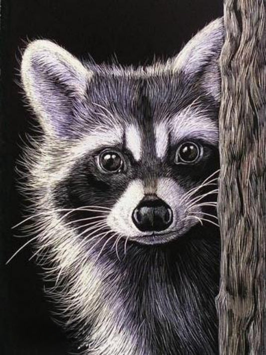 Raccoon | Diamond Painting