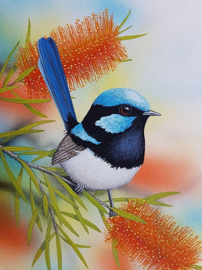 Blue Wren | Diamond Painting