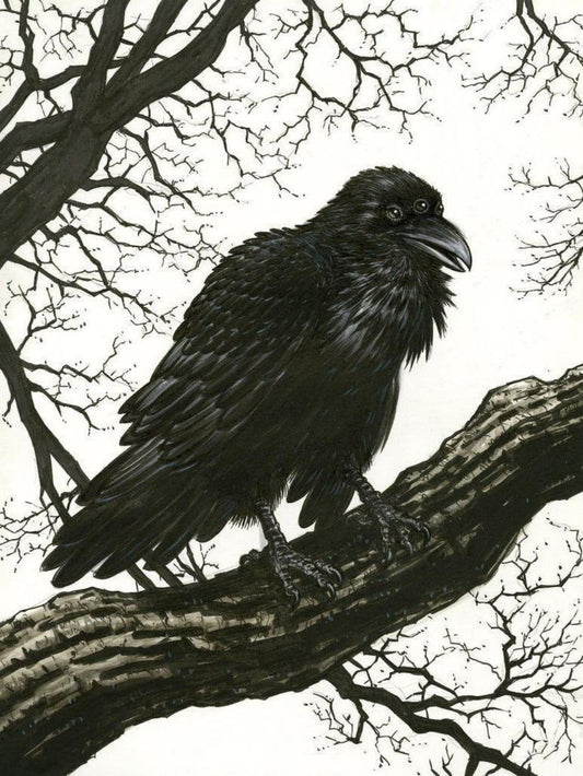 Crow | Diamond Painting