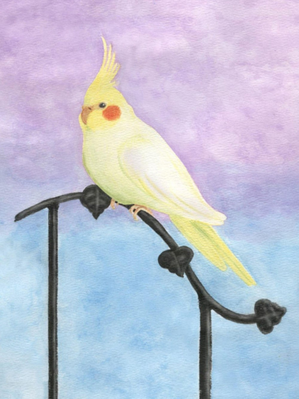 Cockatiel Parrot | Diamond Painting