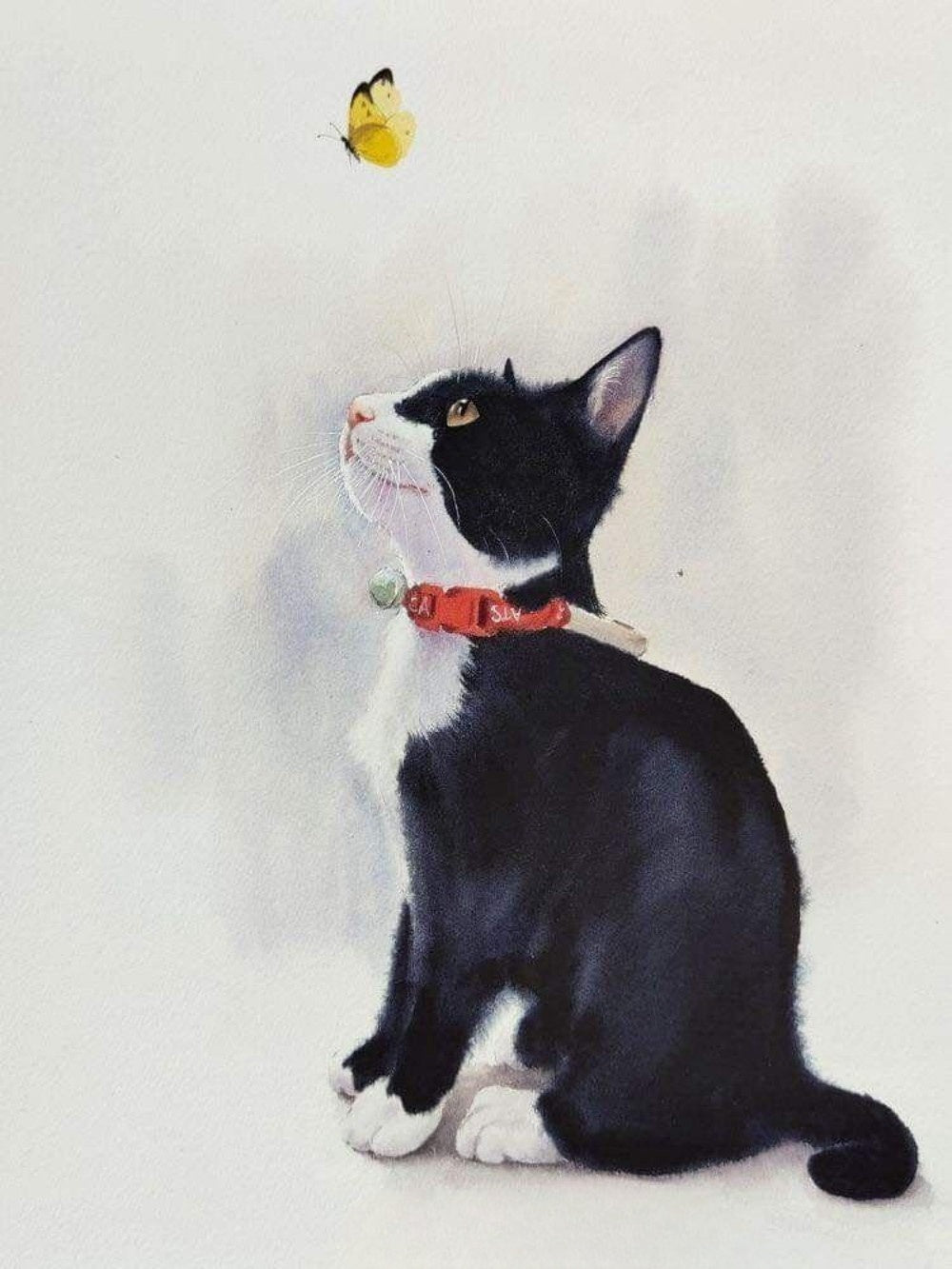 Tuxedo Cat  | Diamond Painting